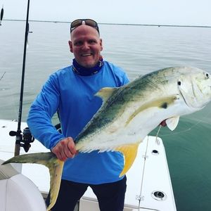 Meet your Posher, Dennis